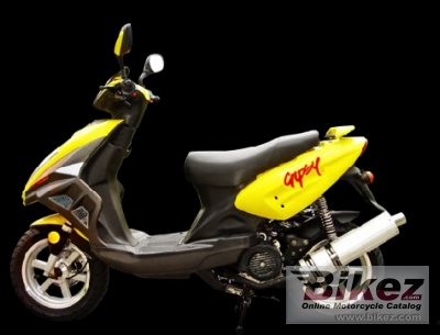 2009 Motom Gypsy 50 photo